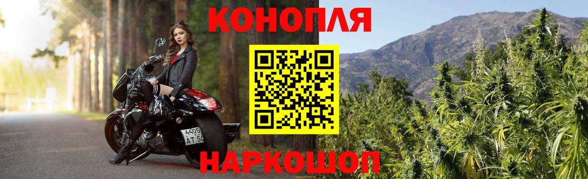 Шишки марихуана марихуана  Вход с VPN  Шишки марихуана планчик  Батайск  Конопля семена 